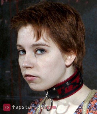 Piper