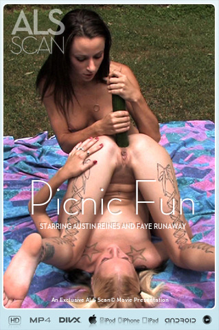 Picnic Fun