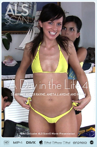 A Day in the Life 4
