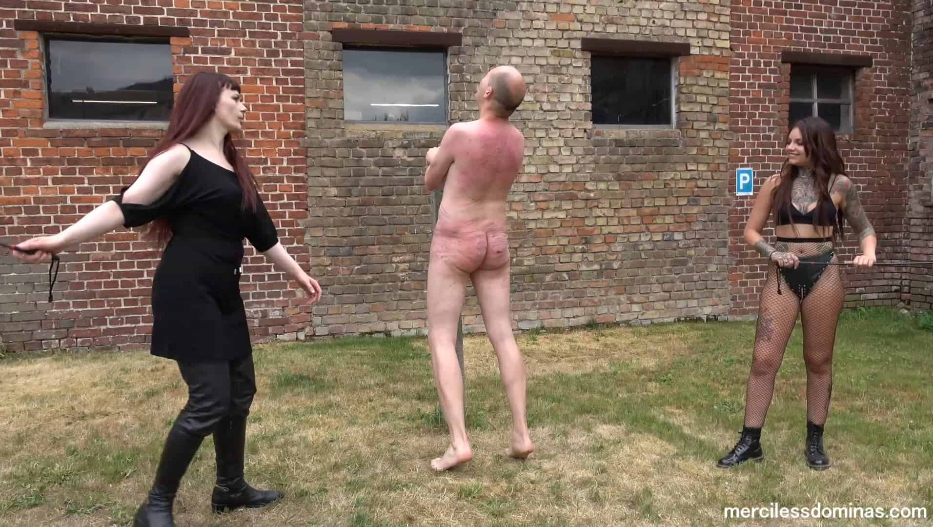 Friendly Competition