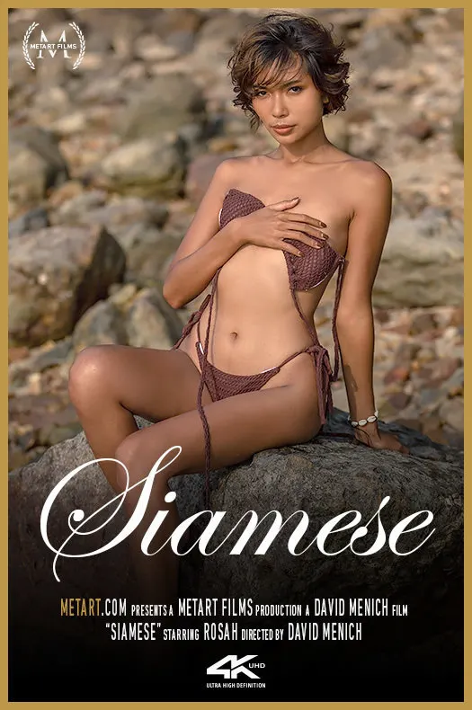 Siamese