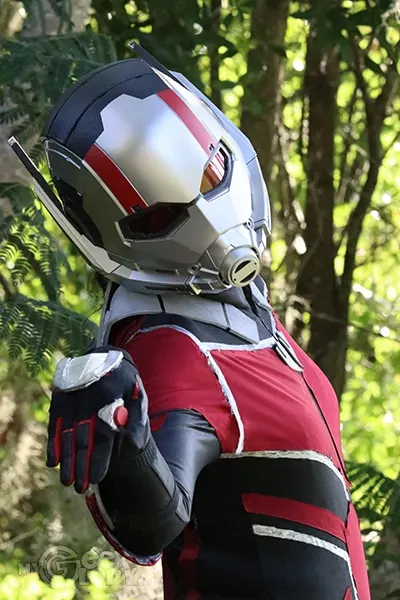 Quantum Realm