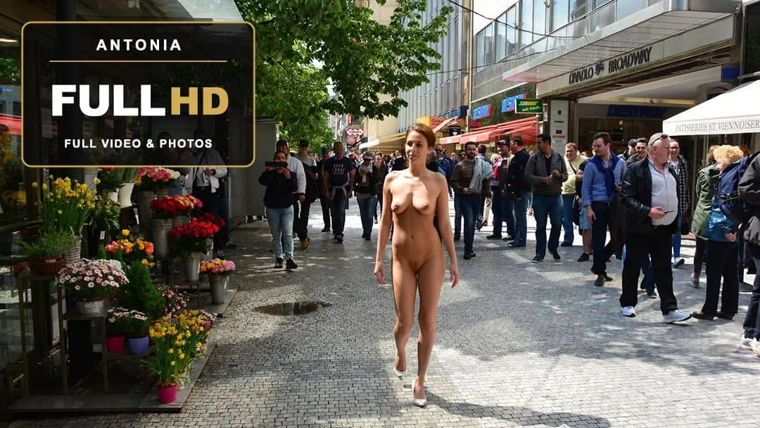Antonia on NIP Activity