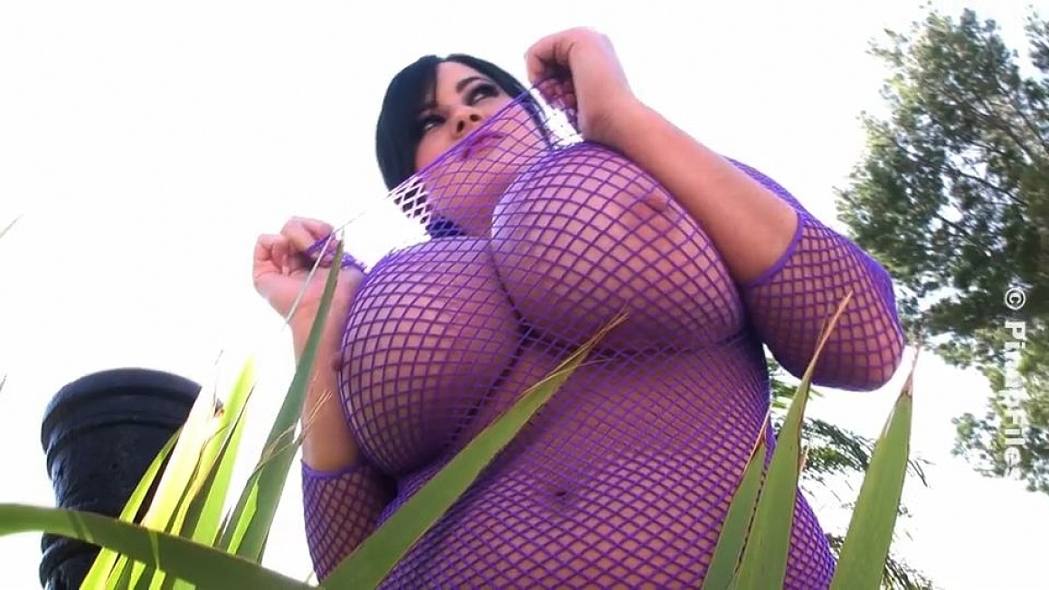 Rachel Aldana - Purple Fishnet 1 - Big tits and nipples popping through!