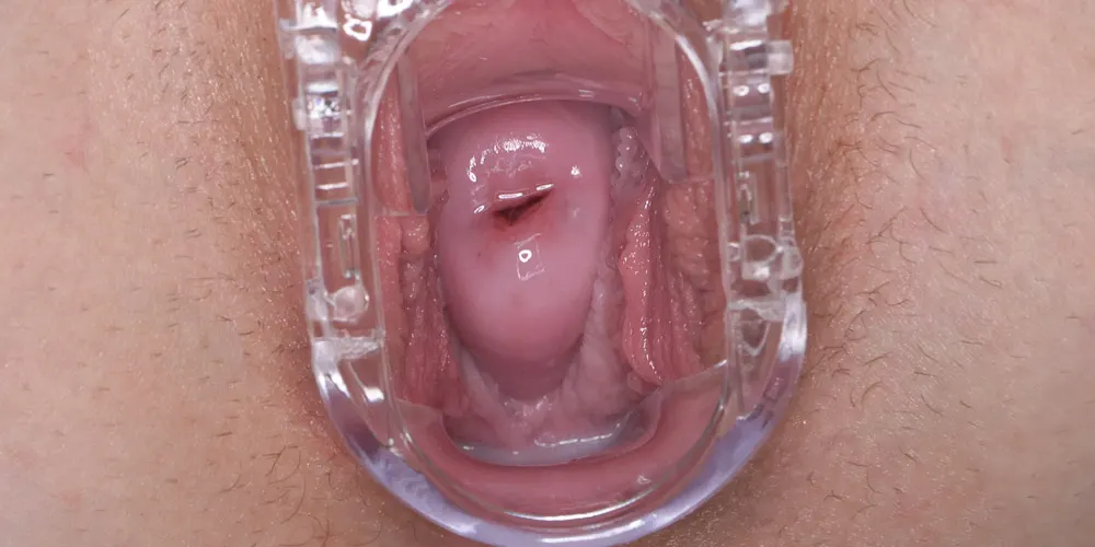 Inside Princess