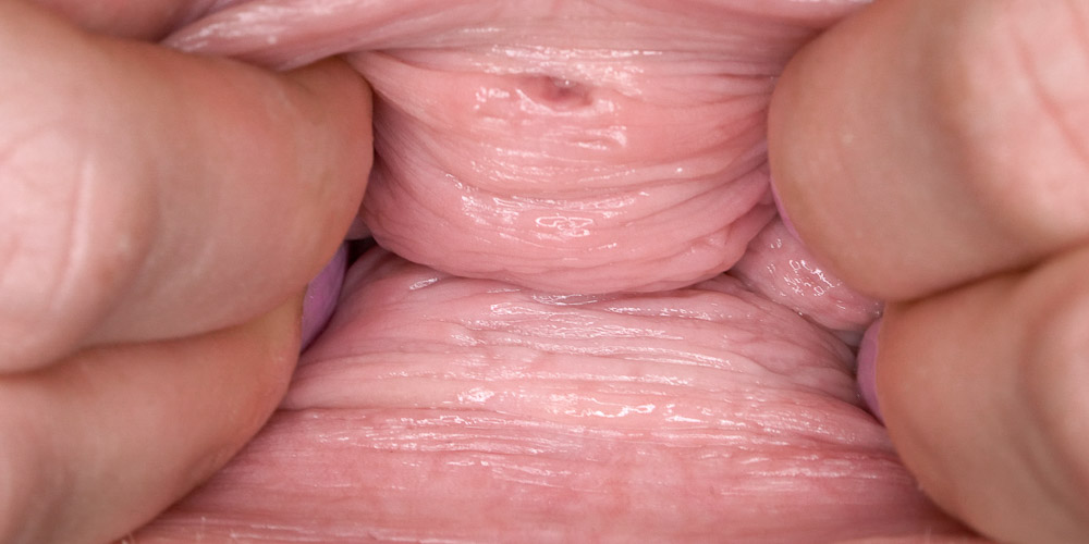 Dildos & Gapes