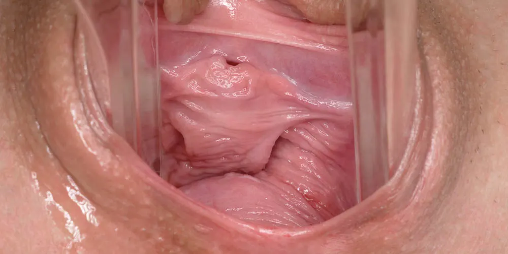 Inside Claudia