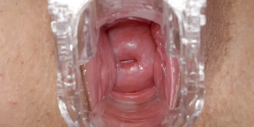 Inside Pink Pussy