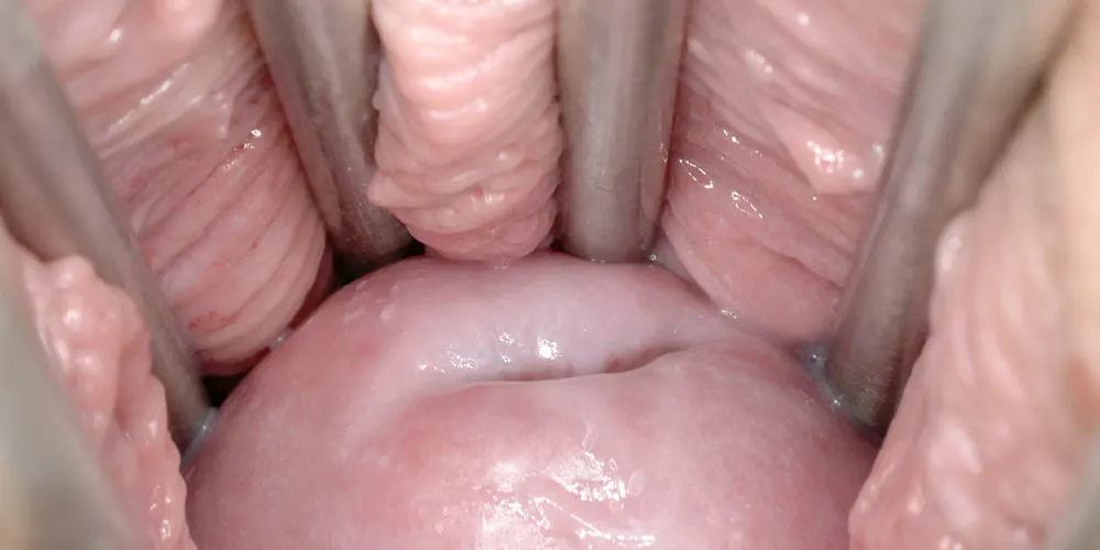 Pink Close-Up