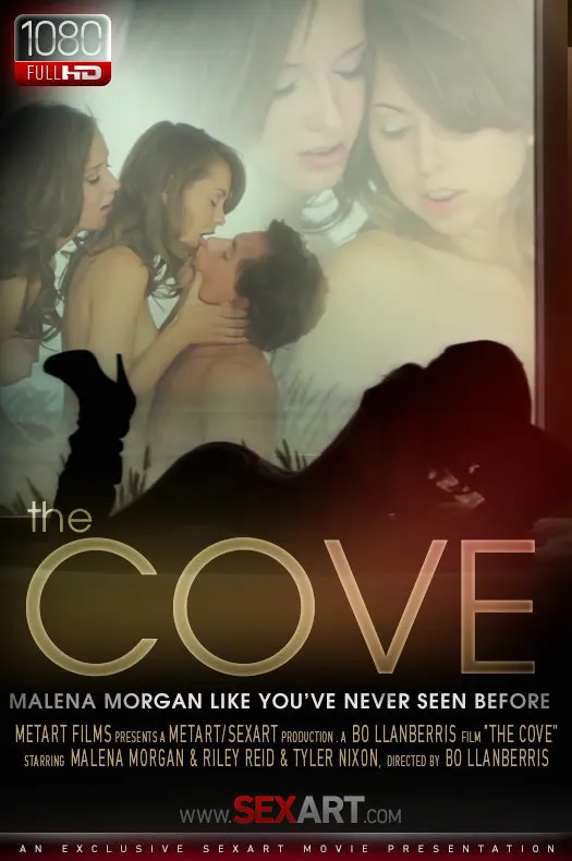 The Cove
