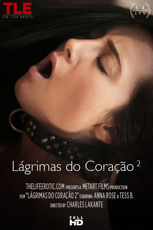 Lagrimas Do Coracao 2