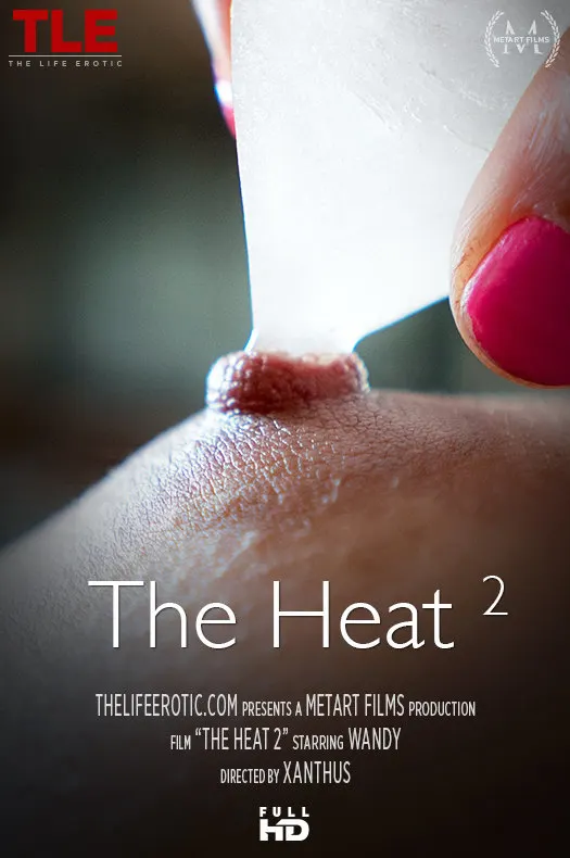 The Heat 2