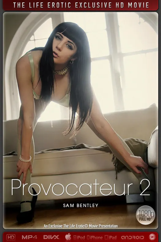 Provocateur 2